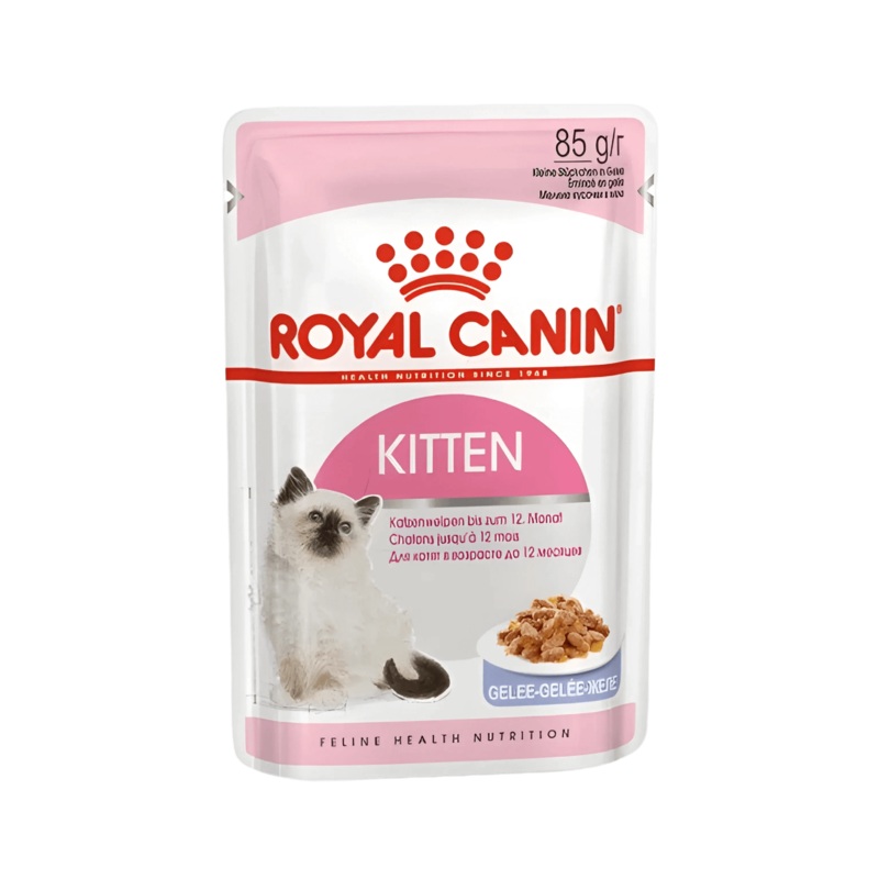 RC KITTEN CAT JELLY