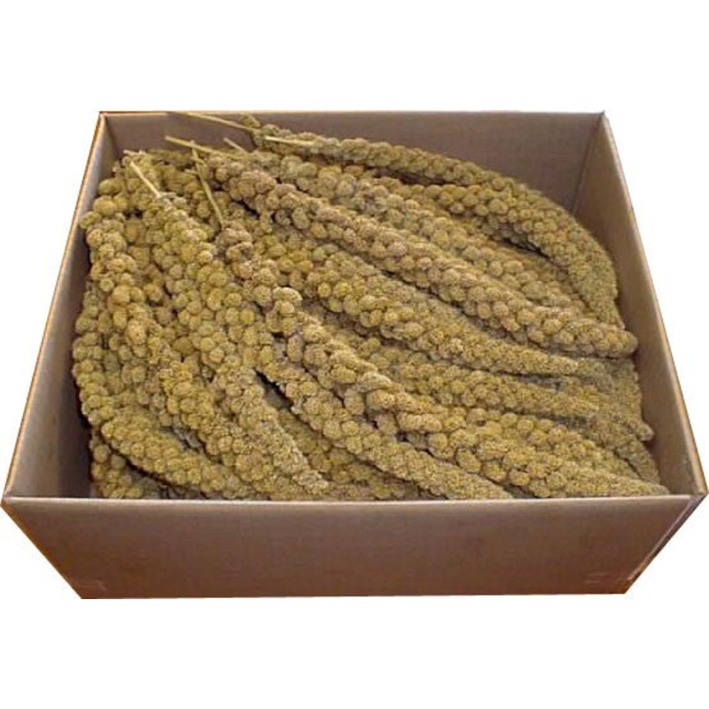 YELLOW MILLET SPRAY|1kg|25kg