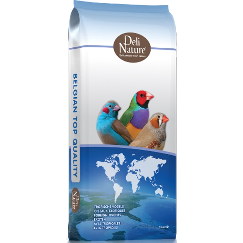 41-PREMIUM FOREIGN FINCH|1kg|4kg|20kg