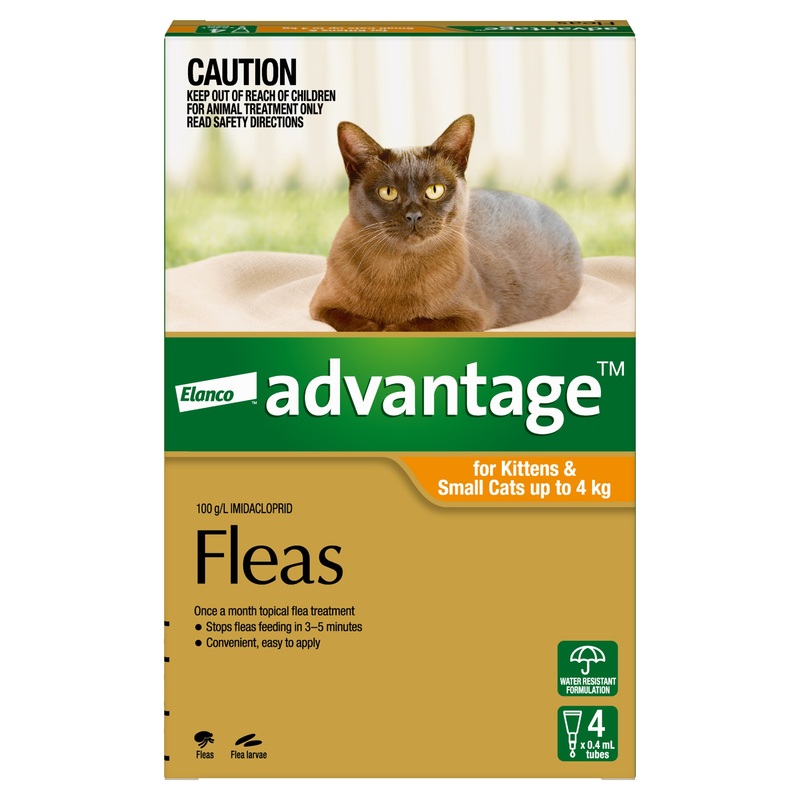 Advantage Orange – Kittens and Small Cats up to 4kg