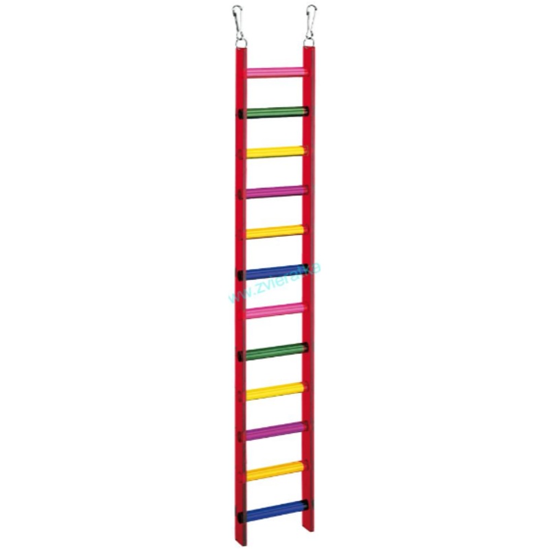 PARROT STEPS
