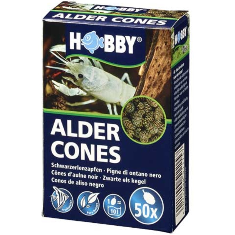 50pcs ALDER CONES|50pcs