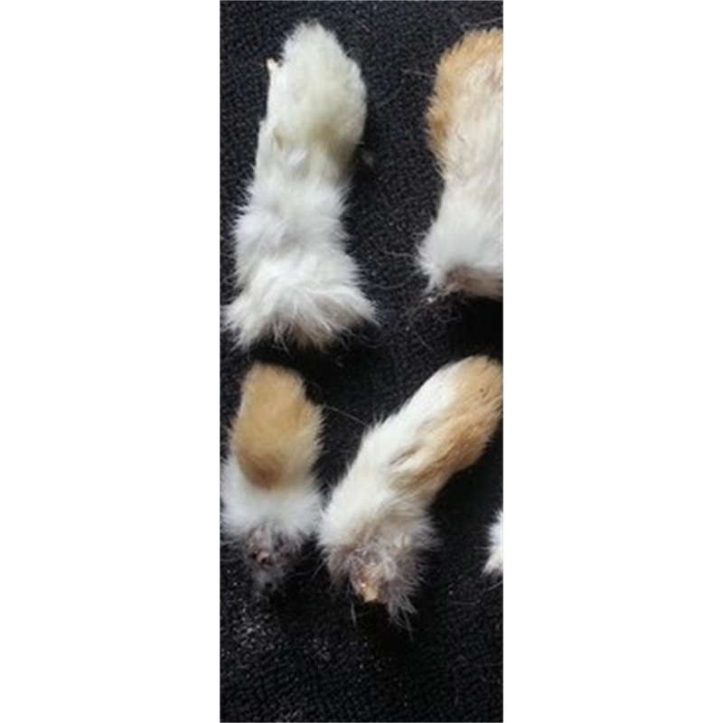Anco Hairy Rabbit Feet