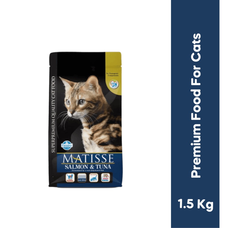 MATISSE SALMON & TUNA DRY FOOD (S)