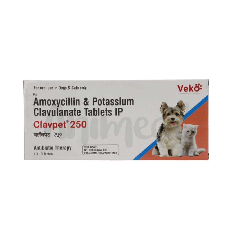 CLAVPET 250MG TABLET