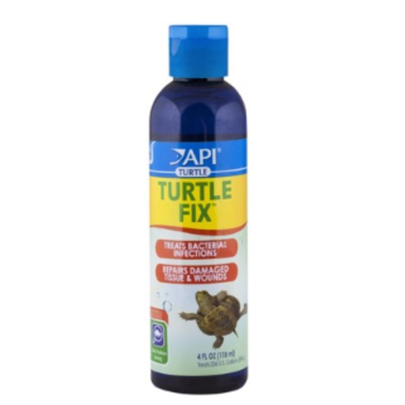 Turtle Fix