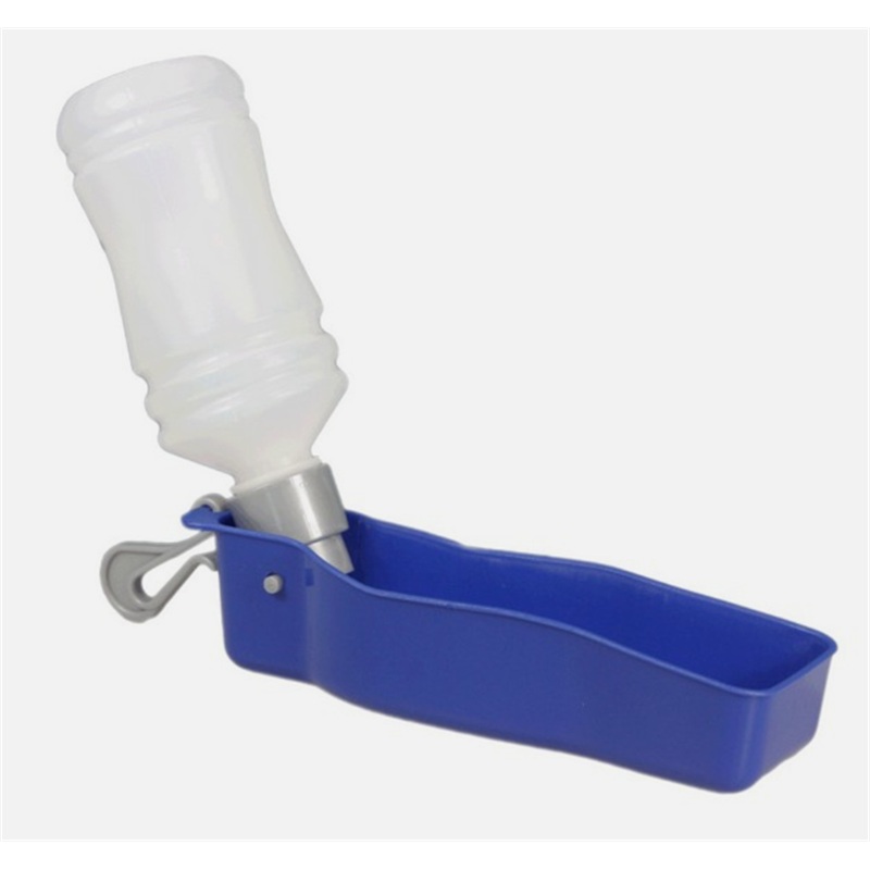 Travel Water Bottle