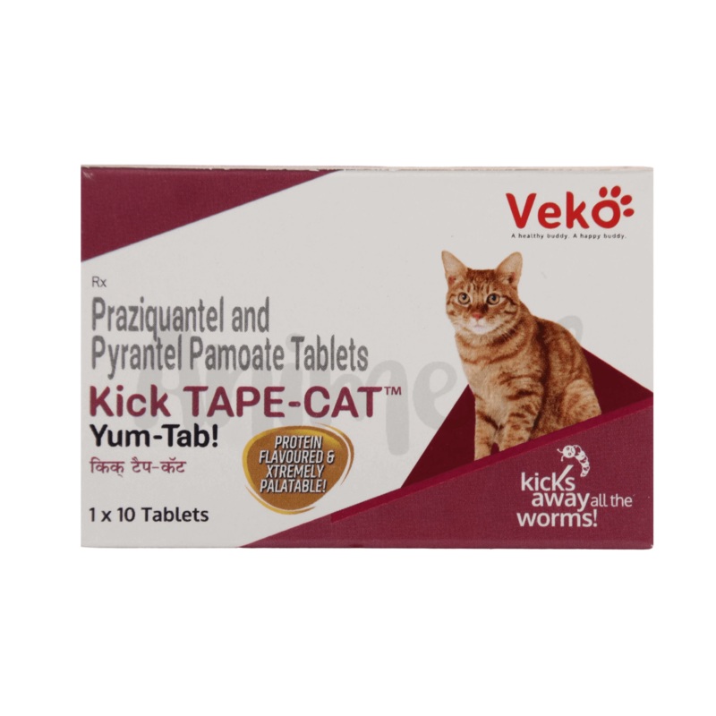 KICK TAPE CAT TABLET