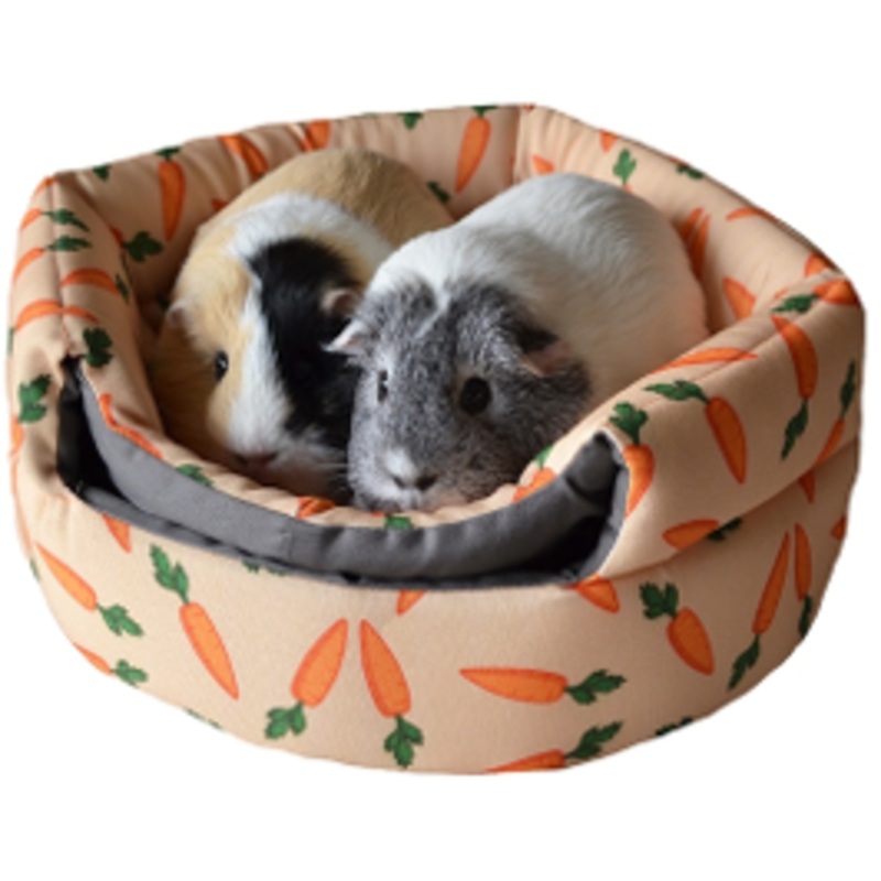 2 IN 1 CARROT BEEHIVE BED