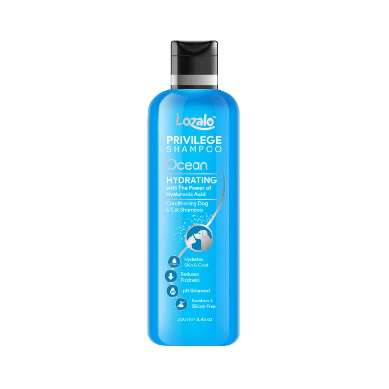 LOZALO PR OCEAN CONDITIONING