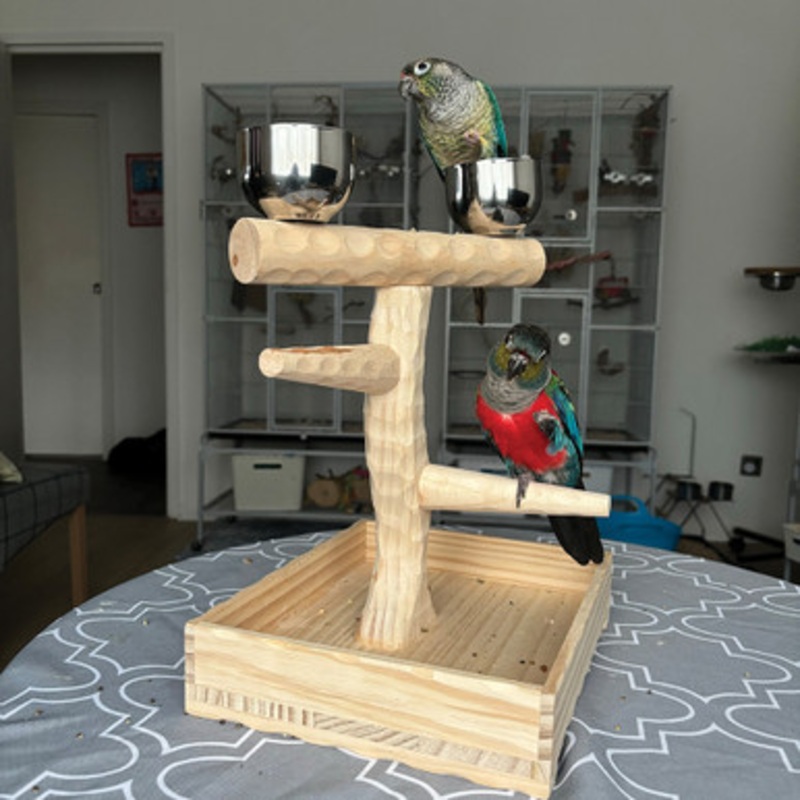 Coffee Wood Table Top Parrot Stand Medium