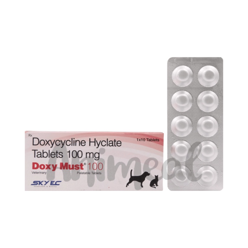 DOXY MUST 100 TABLET