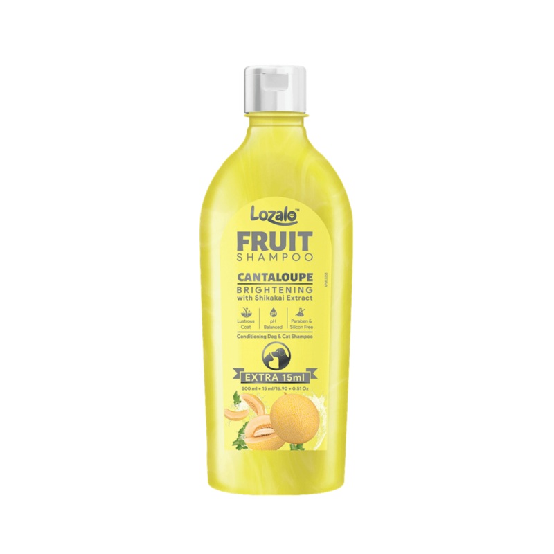 LOZALO CANTALOUPE SHAMPOO (S)