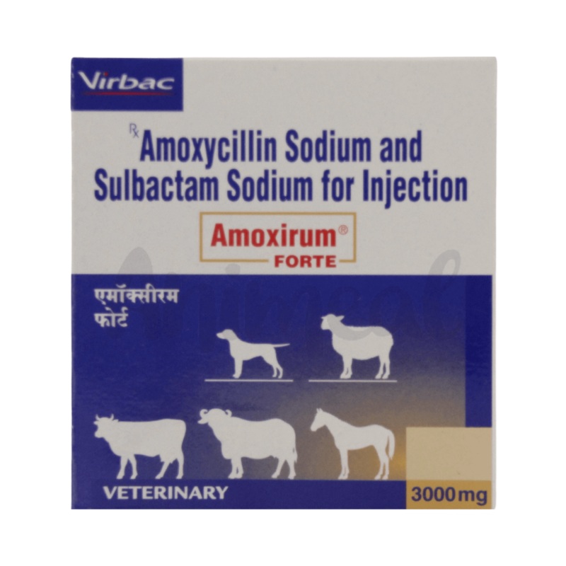 AMOXIRUM FORTE INJ 3000MG