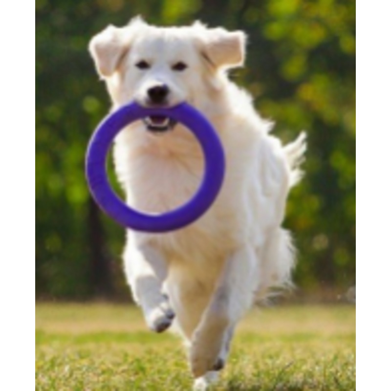 DOG PULLER|2 MICRO RINGS|2 MINI RINGS|2 MIDI RINGS|2 LARGE RINGS|1 MAXI RING|BAG FOR PULLER