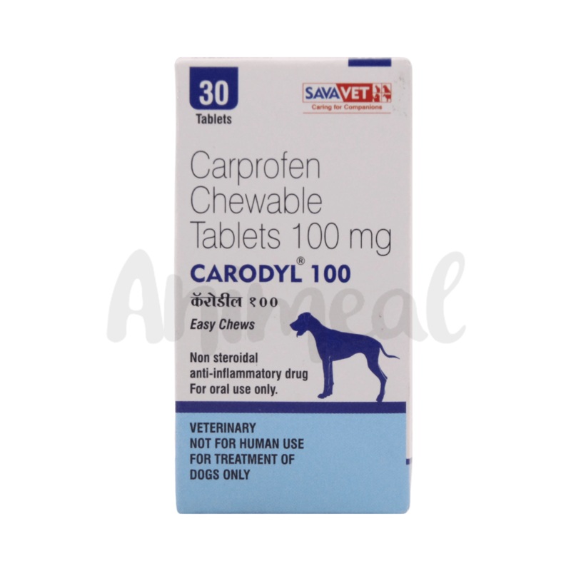 CARODYL 100 TABLET (L)