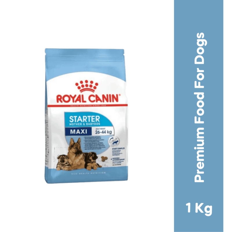 RC MAXI STARTER DRY FOOD (M)