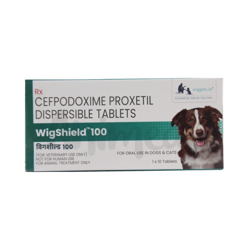 WIGSHIELD 100MG TABLET