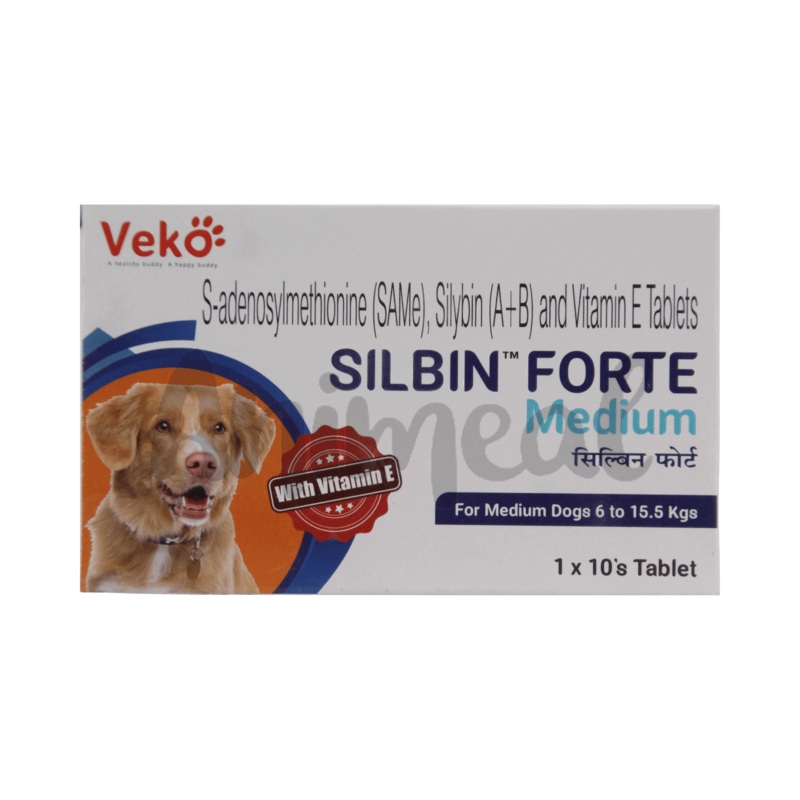SILBIN FORTE MEDIUM TABLET