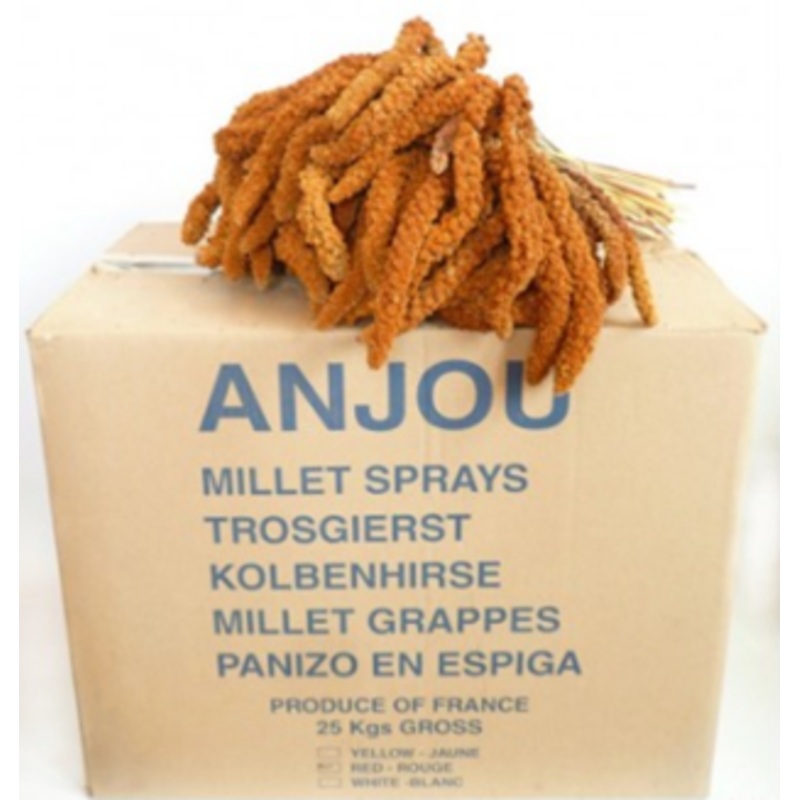 RED MILLET|1kg|25kg