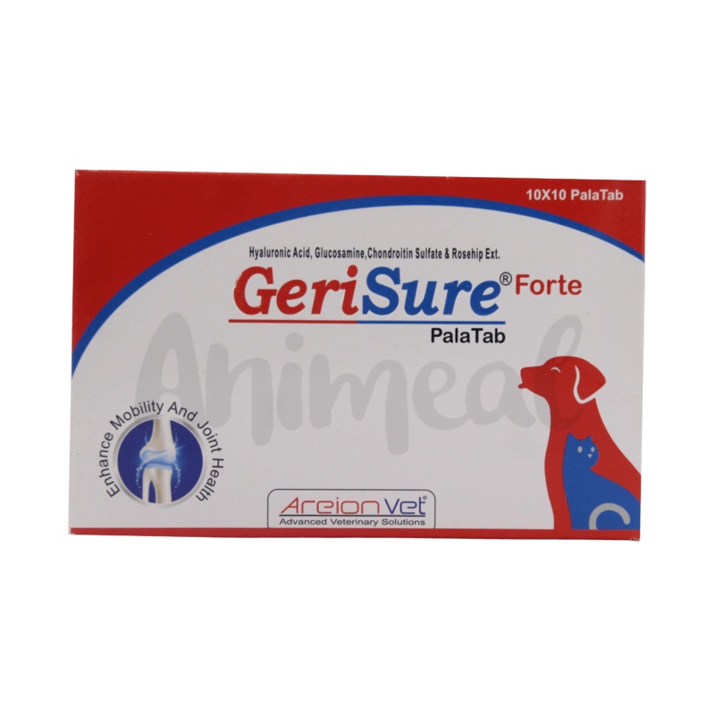 GERISURE FORTE TABLET