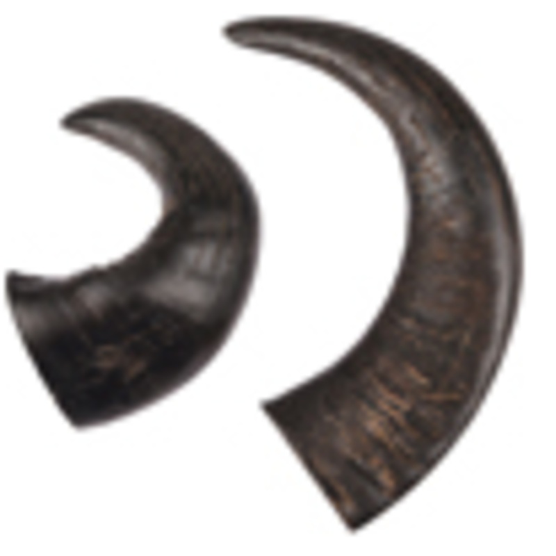 NATURE SNACK HORN LARGE 1PCS