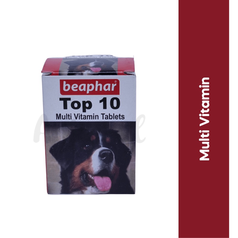 TOP 10 DOG TABLET (M)