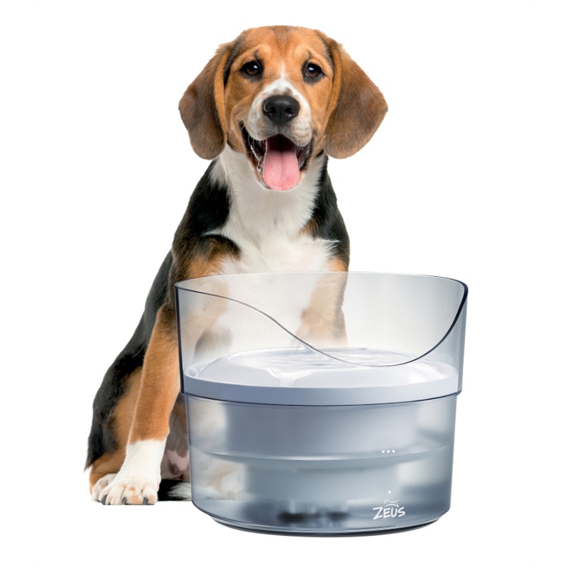 Zeus Dog Water Fountain