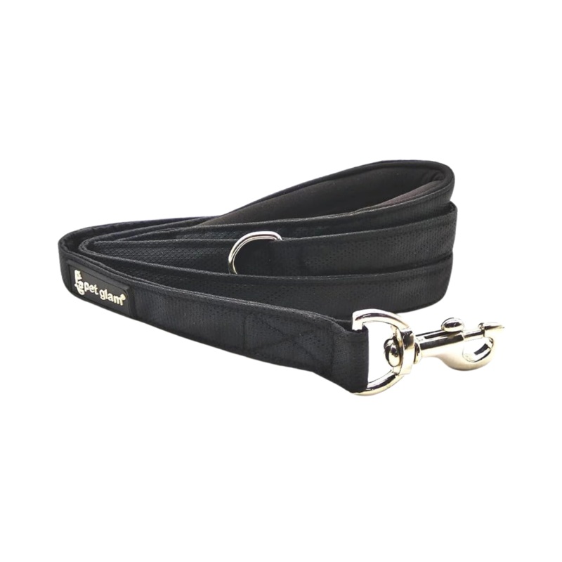 PG DOG LEASH LOKI