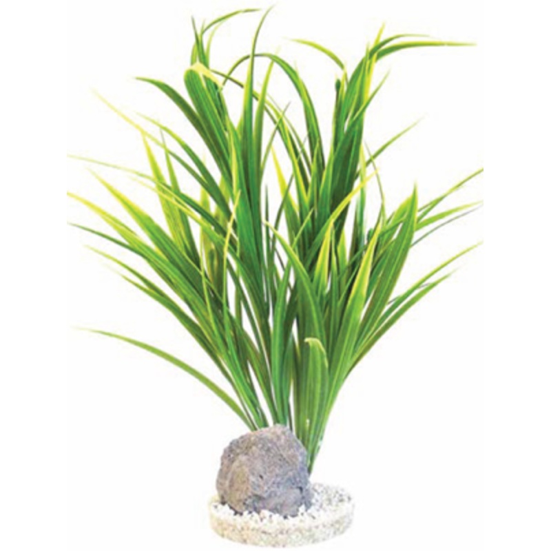 YUCCA VIVARIUM